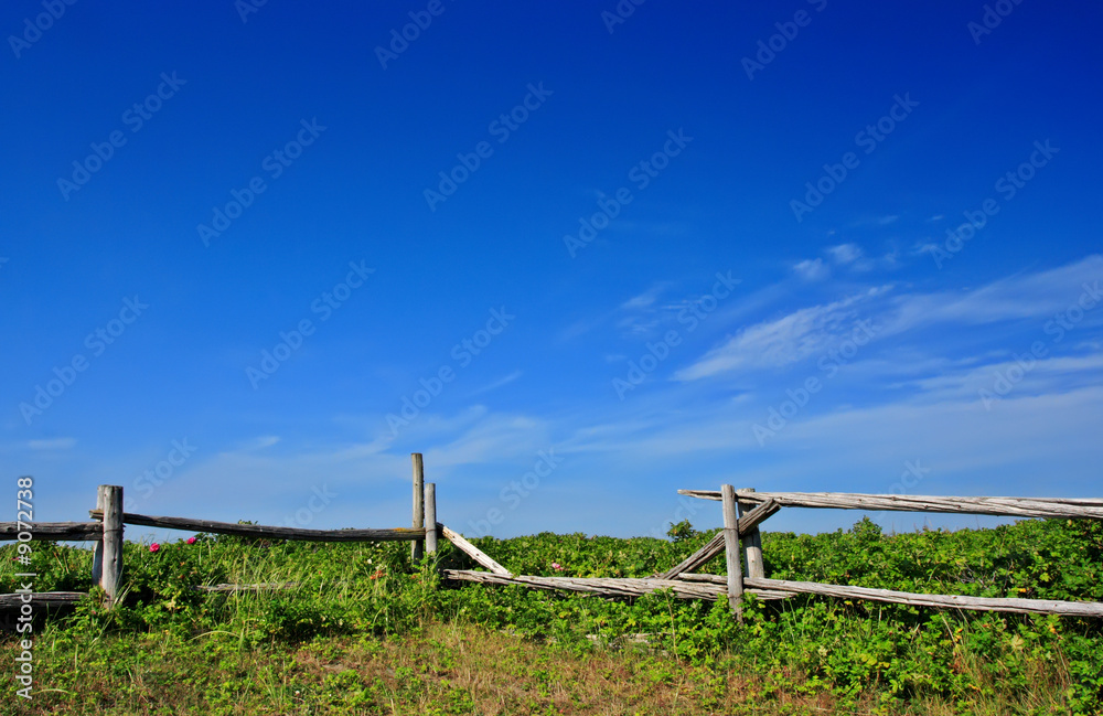Fototapeta premium country landscape with fence and blue sky