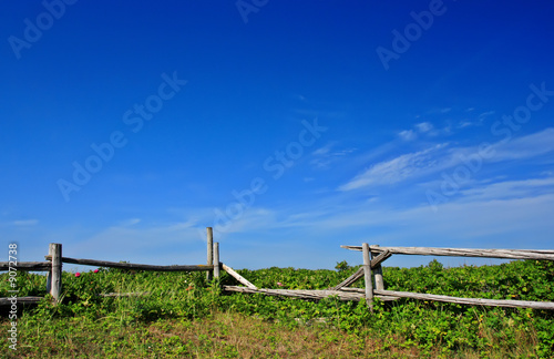 country landscape with fence and blue sky