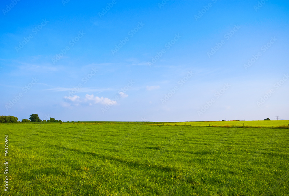 lovely green pasture with blue sky lovely green pasture with blue sky