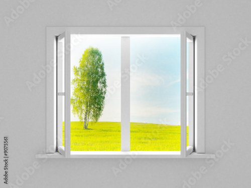 Landscape behind the open w...