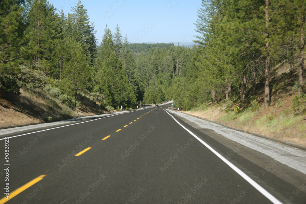 Road surrounded with woodland. California. USA Road surrounded with woodland. California. USA