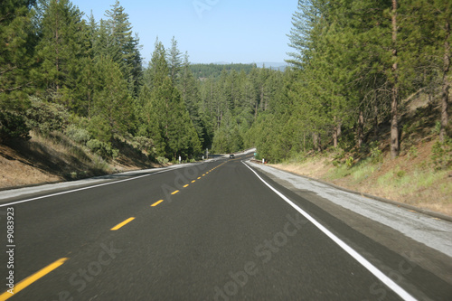 Road surrounded with woodland. California. USA