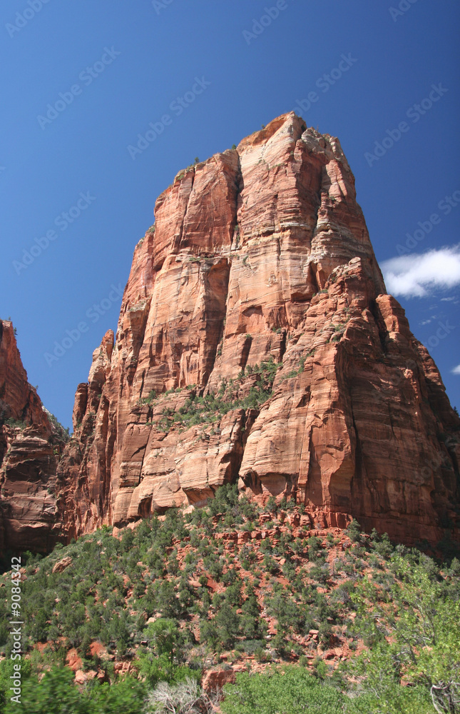 Fototapeta premium Zion Canyon. Zion national park. Utah. USA