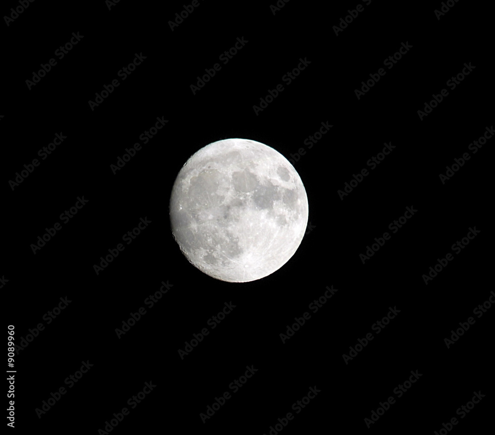 Fototapeta premium The full moon on a background of the black sky
