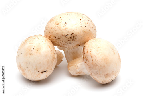 Three mushrooms of a champignon on a light background
