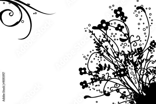 FOND FLORAL NOIR