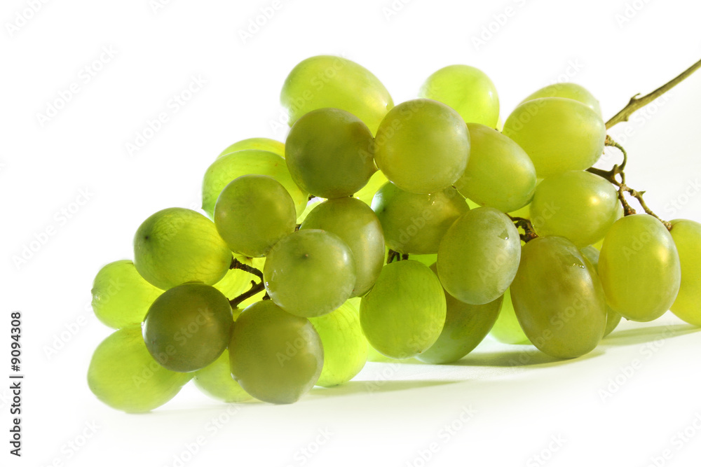 green fresh grapes green fresh grapes