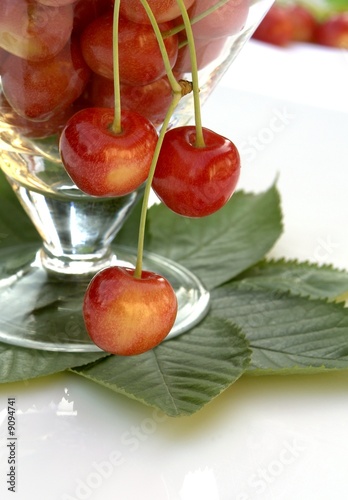 cherries photo