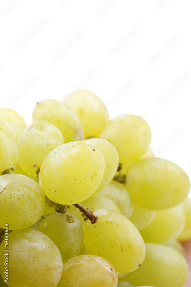 object on white - food green grapes