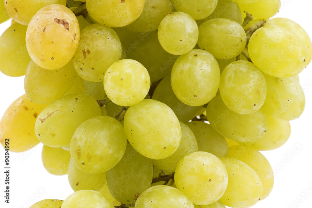 object on white - food green grapes