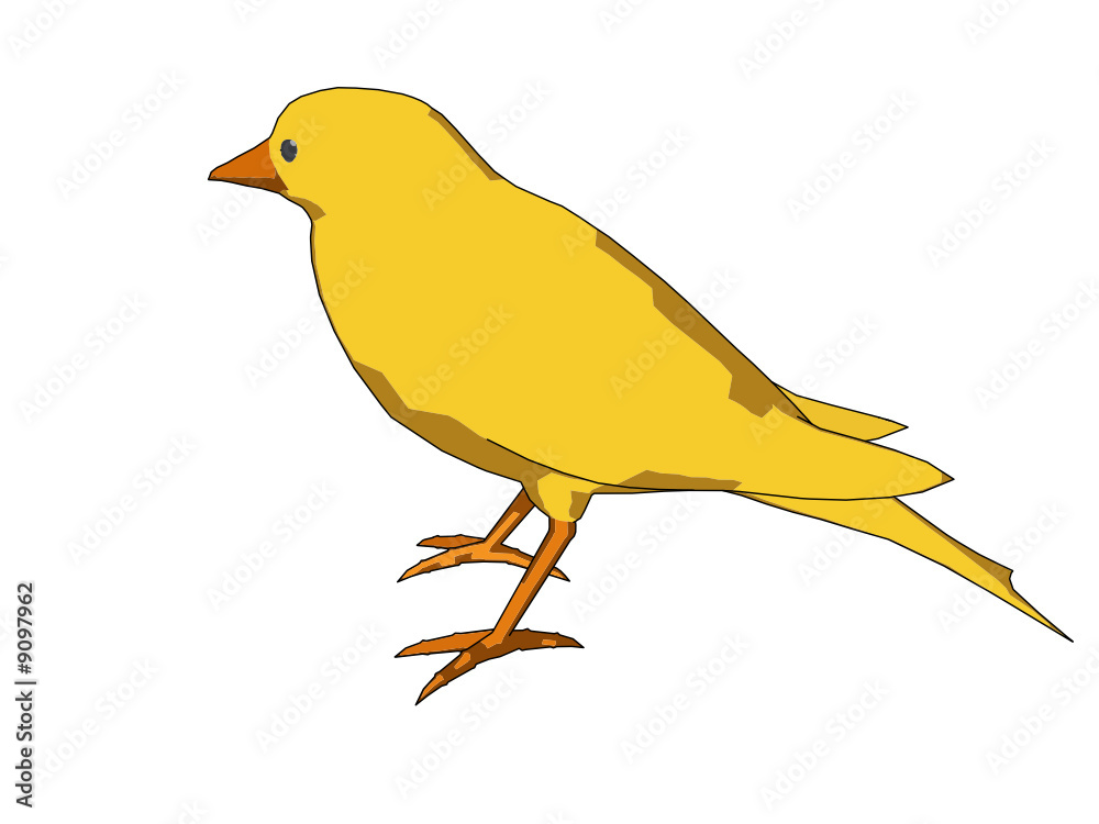 petit oiseau petit oiseau