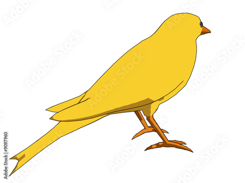oiseau