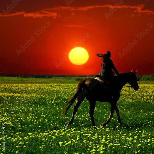 horse rider in green dandelion field