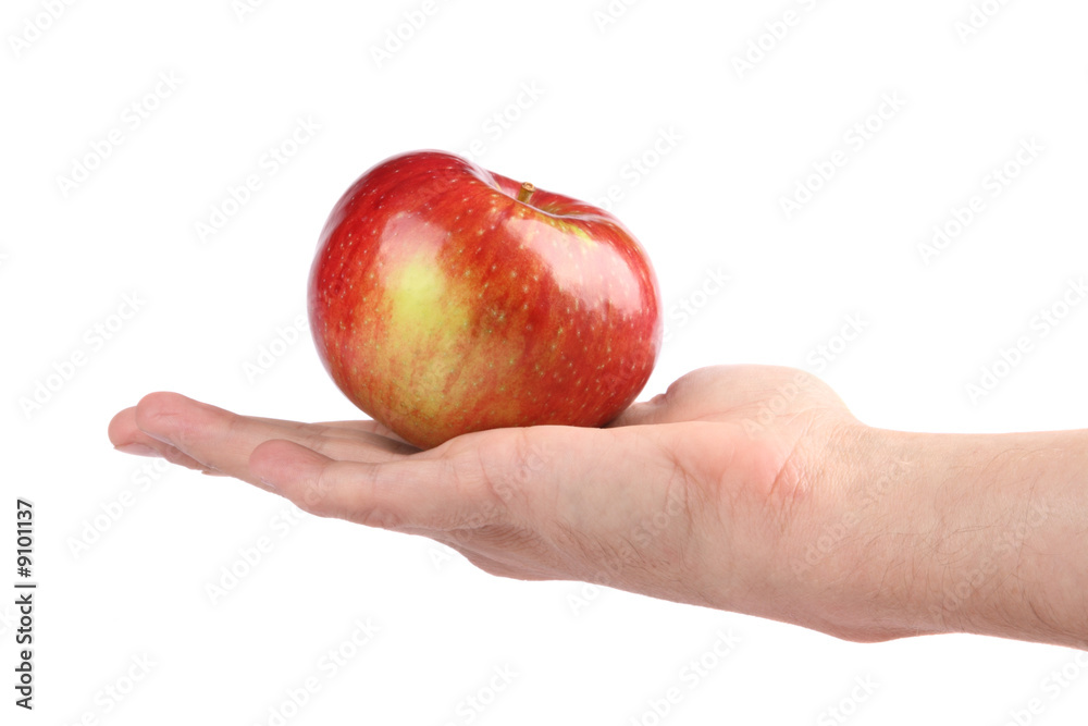 Red apple in a hand Red apple in a hand