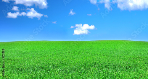 panoramic view of peaceful grassland, blue sky above