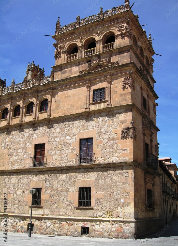Salamanca, Palacio de Monterrey