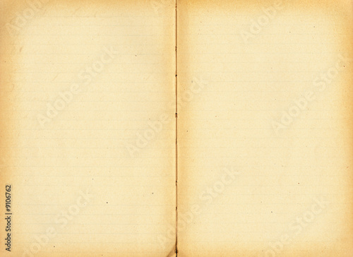 Open antique book with lines, blank for your own text.