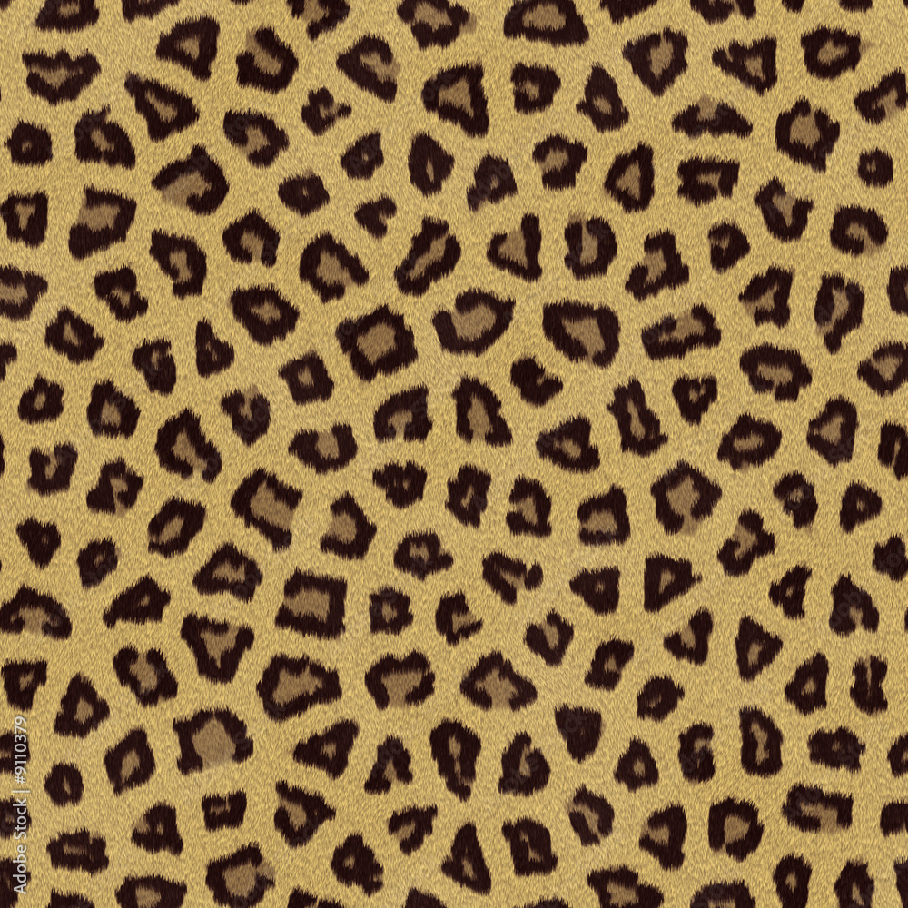 Leopard Texture Leopard Texture