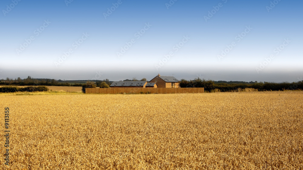 farmland clouds trees earth soil agriculture farmland clouds trees earth soil agriculture