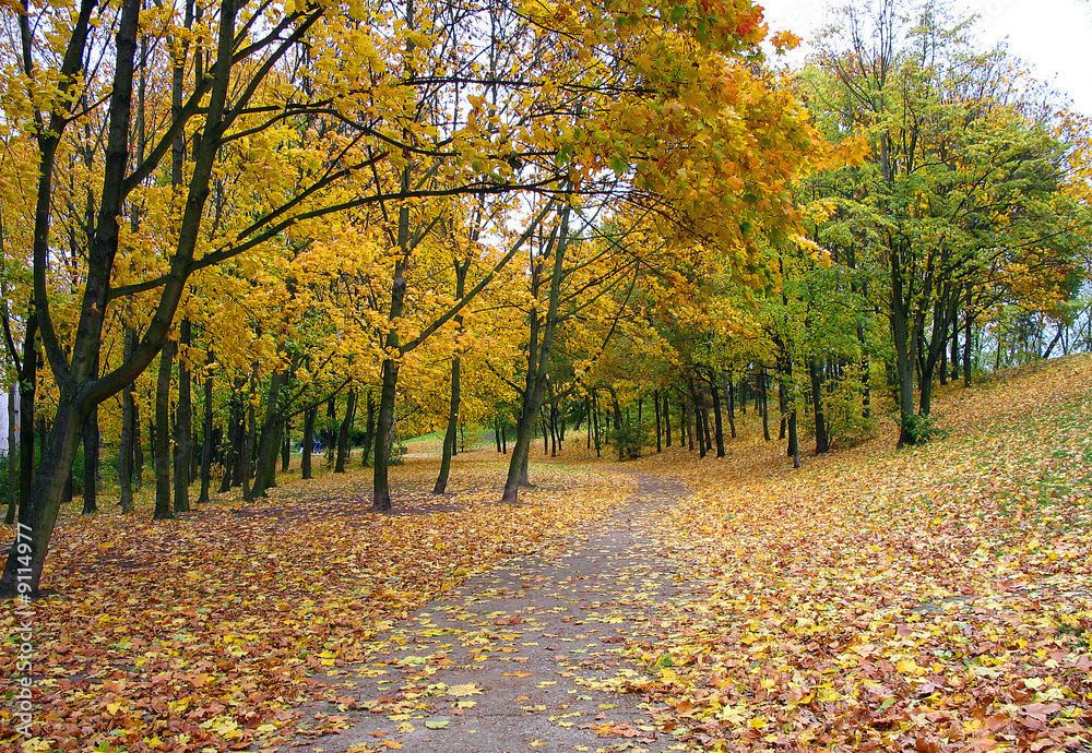 paysage automne