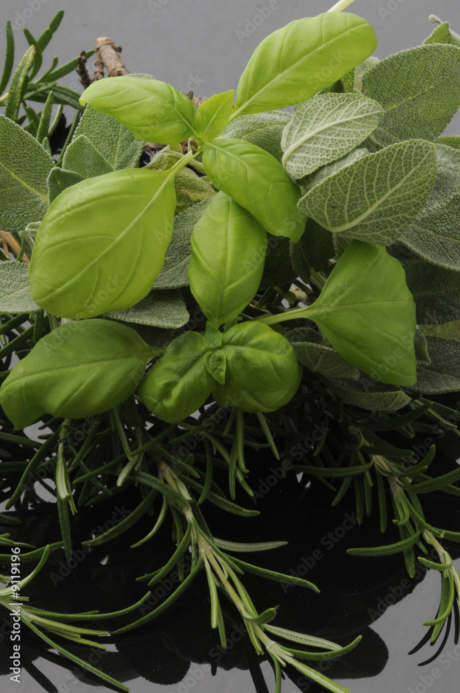 Obraz premium Basilico salvia e rosmarino