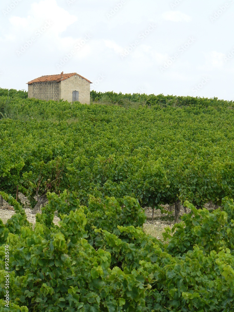 Cabanon et vignes