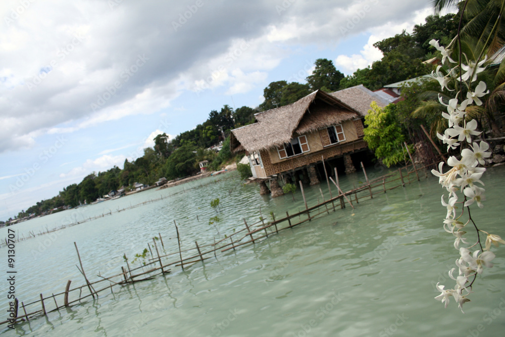 Fototapeta premium Orchidée sur Pilotis (Ile de Bohol - Philippines)