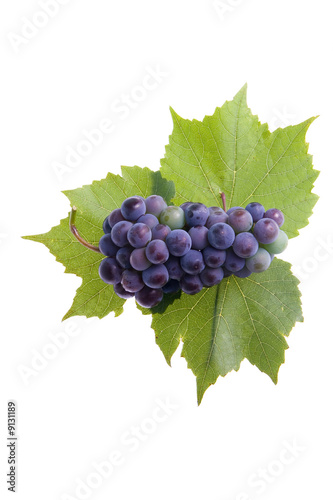Grapes with three leafs