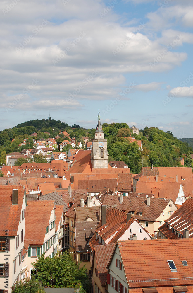 Tübingen: Blick über Häuer auf Stiftskirche