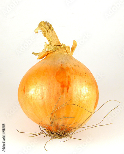 onion