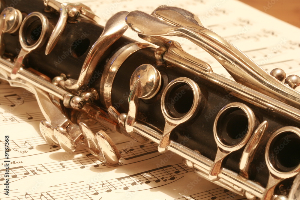 Obraz premium Clarinet