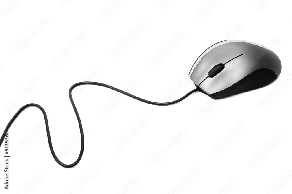 The mouse with a wheel on a white background The mouse with a wheel on a white background