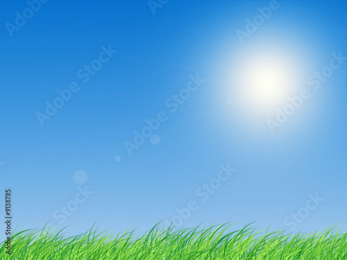 Herbe sur fond de ciel bleu