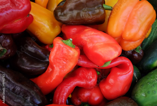 Colorful Organic Hot Peppers at Farmers Stand