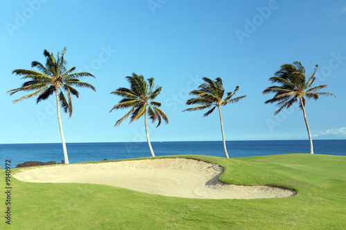 Golf Course on Lava Ocean Shore of Kona Island  Hawaii