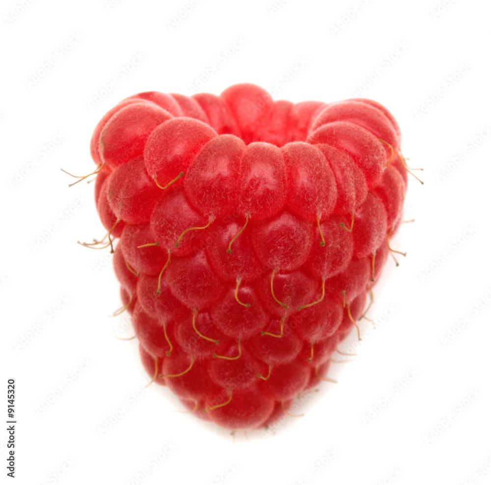 fresh raspberry on white background fresh raspberry on white background