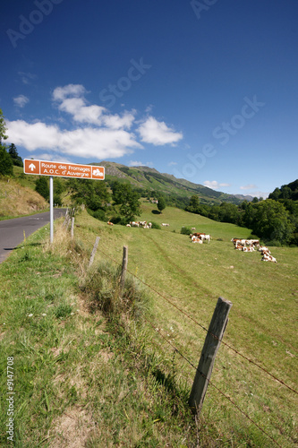 vers les fromages