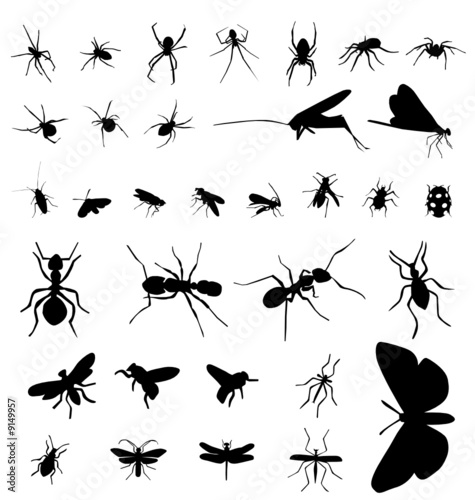 insect silhouettes