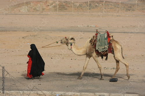 bedouin woman and camel