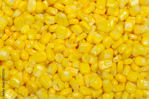 Background of swet corn kernels photo