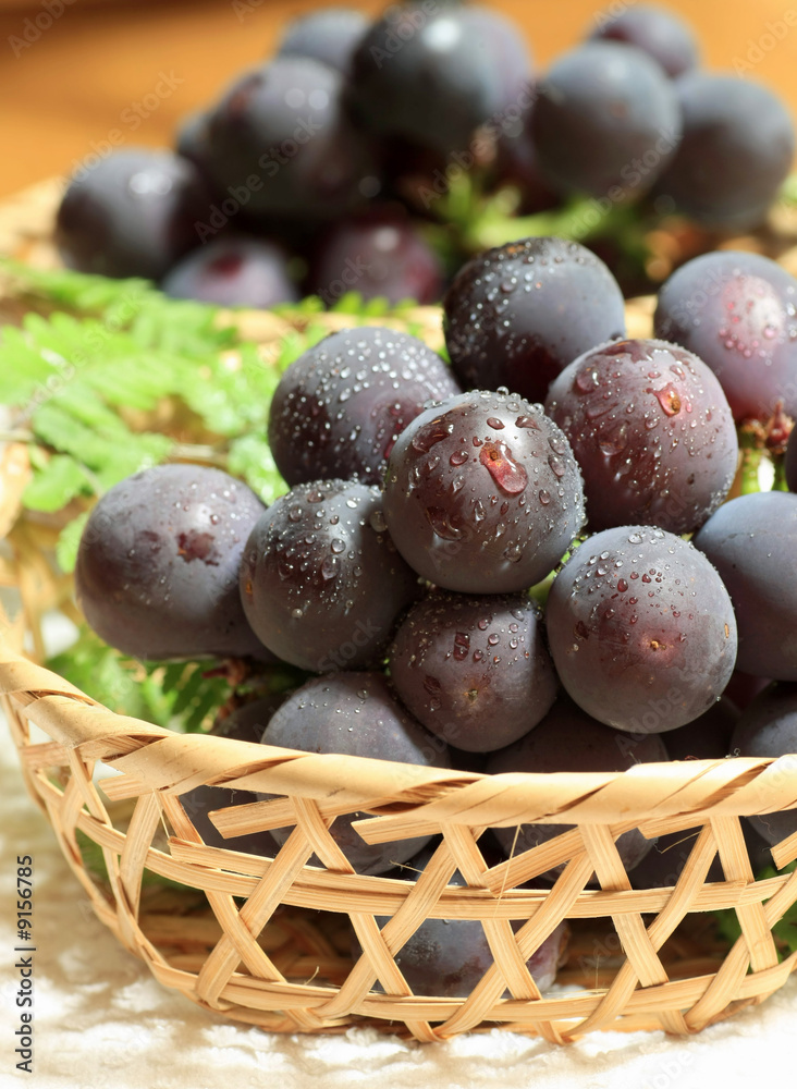 custom made wallpaper toronto digitalぶどう