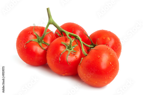 Red tomatoes on a green twig on white background