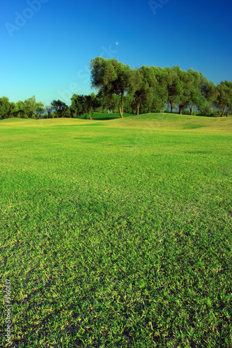 Green golf course under deep blue sky © nata_rass