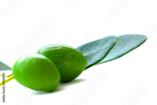 Wallpaper Mural des olives Torontodigital.ca