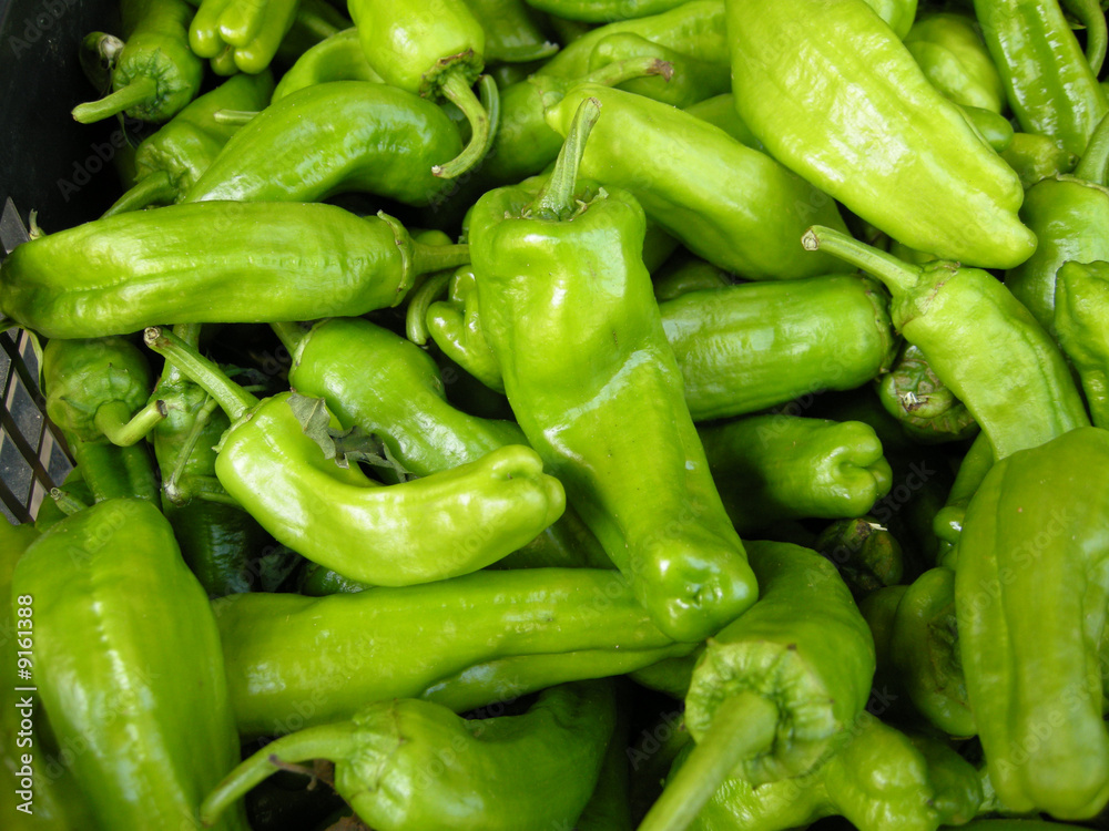 Grüne Peperoni Grüne Peperoni