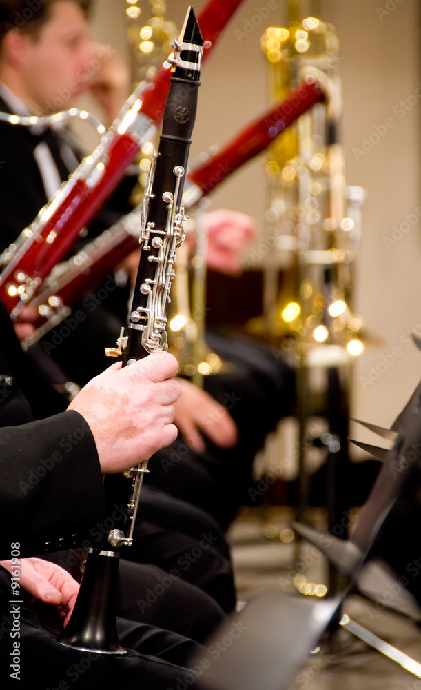 Obraz premium Clarinet player