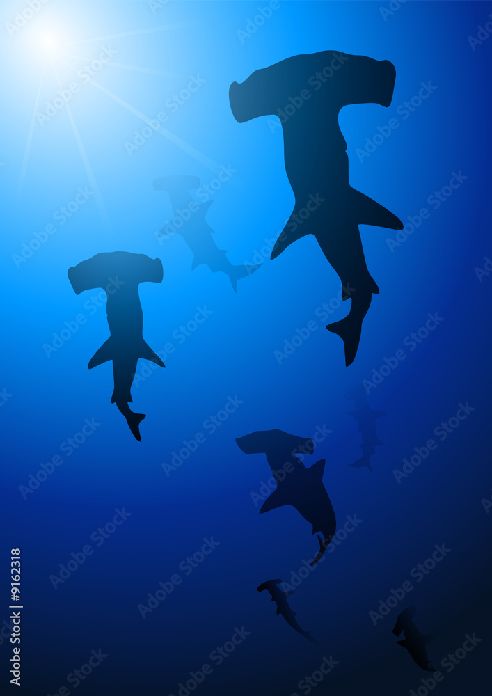 Obraz premium Deep blue shark background