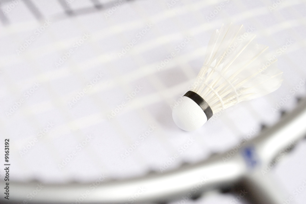Badminton Badminton