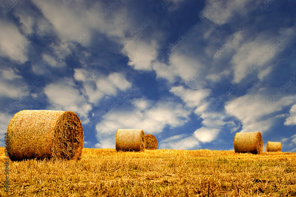 Hay or Straw Bales.