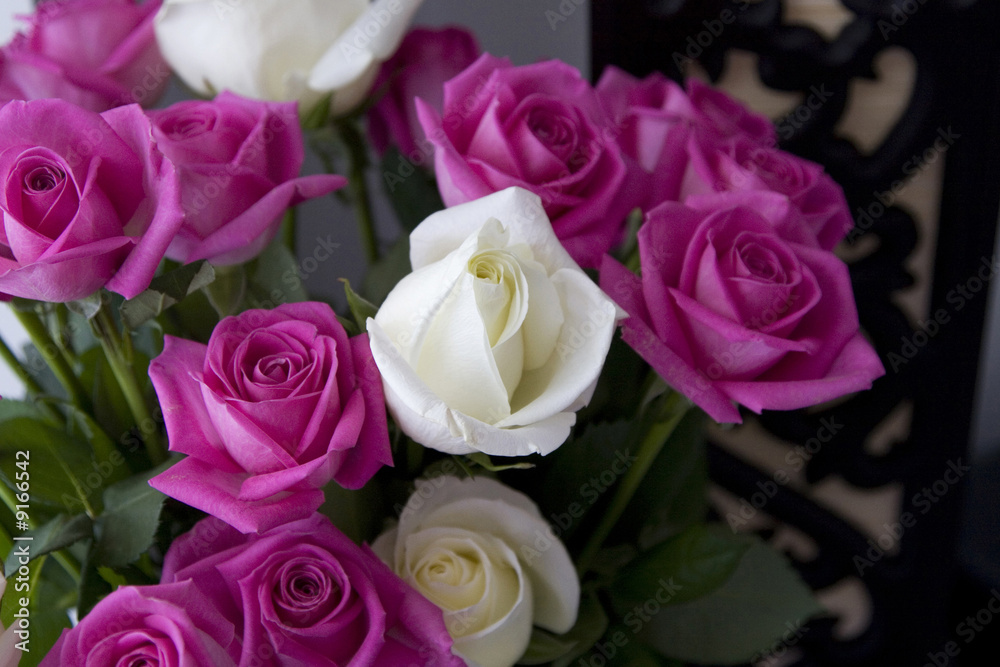 A Bouquet Of Pink And White Roses A Bouquet Of Pink And White Roses